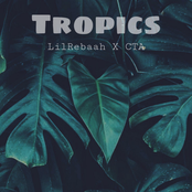 Tropics