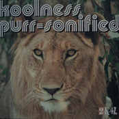 Koolness Purr-sonified