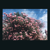 Ceres: Drag It Down On You