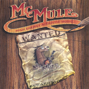 McMule