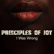 Principles of Joy – I Was Wrong