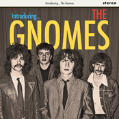 The Gnomes