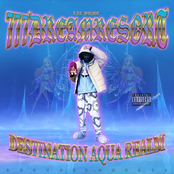 DESTINATION AQUA REALM