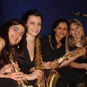 elise hall saxophone quartet