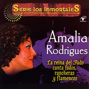 Fallaste Corazón by Amália Rodrigues