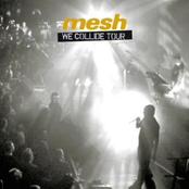 From This Height by Mesh