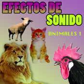Efectos De Sonido Animales Vol.2