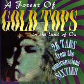 A Forest Of Gold Tops In The Land Of Oz