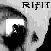 Disastrous Brain Digging by Ripit