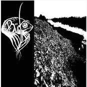 Bufo / Warkorpse Split