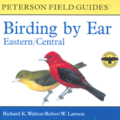 Birding by Ear, Eastern/Central