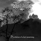 Desolation of a Last Mourning (Demo)