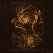 ...of Serpents and Darkness