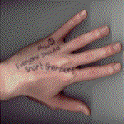 Everyone Should Snort Sherbert