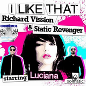 richard vission & static revenger feat. luciana