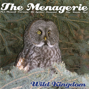 The Menagerie: Wild Kingdom