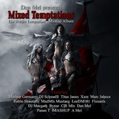 Mixed Temptations - The Within Temptation Mashup Album