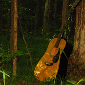 Dust Mites - Single