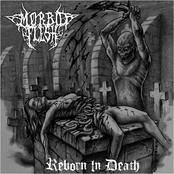 Reborn in Death (2011)