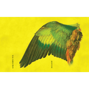 Alpha Couple vs Мох split EP