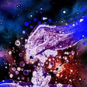 I.P Random bits & bobs