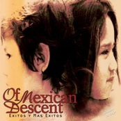 I Am Still by Of Mexican Descent