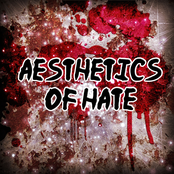 Metal Mayhem: Aesthetics of Hate