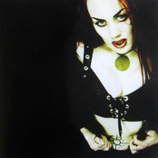 The Best Of Funky Alternatives