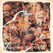 Removal Of The Dead Flesh