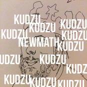 Kudzu