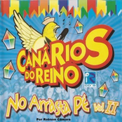 No Arrasta Pé Vol. 02