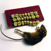 Vultures vs Ampersand