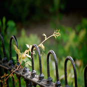 I Could Never Be Me Without You - Single