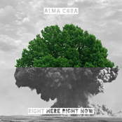 Right Here Right Now