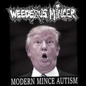 Modern Mince Autism