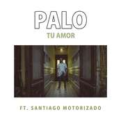 Tu Amor
