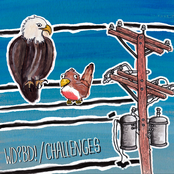 Who's Driving? Bear's Driving! / Challenges Split