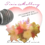 CD Single