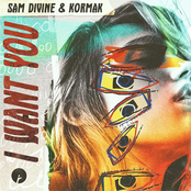 Sam Divine: I Want You