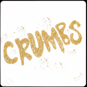 Practically People: Crumbs