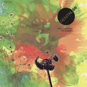 The Other Side of Summer