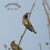All My Life