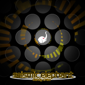 seismic elephant