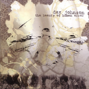 The Beauty Of Human Error