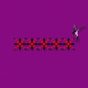 Ластівки - Single