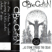 As The Stone Strikes The Cedar