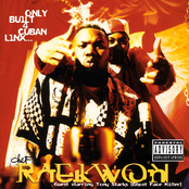 Ice Water by Raekwon