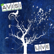 The Avisi Live