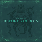 Before You Run