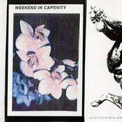 Weekend In Captivity